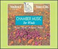 オムニバス（室内楽）/Chamber Music For Winds： New York Camerata W.klein(P)