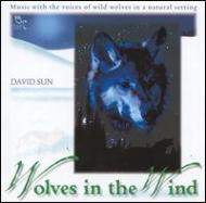 David Sun/Wolves In The Wind