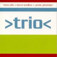 Hans Ulrik / Steve Swallow / Jonas Johansen/Trio