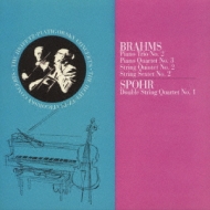 ブラームス（1833-1897）/Piano Trio.2 Piano Quartet.3 String Quintet.2： Heifetz +spohr