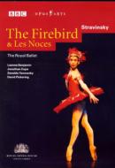 バレエ＆ダンス/Firebird Les Noces(Stravinsky)： L.benjamin J.cope Royal Ballet
