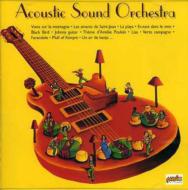 Various/Acoustic Sound Chestra
