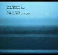 Robin Williamson/Skirting The River Road