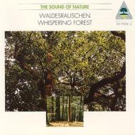 Walter Tilgner/Whispering Forest