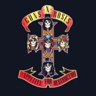Appetite For Destruction(Edited Ver.)