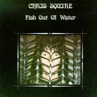 Fish Out Of Water