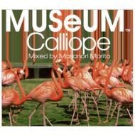 Masanori Morita/Museum： Calliope