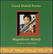 Ustad Shahid Parvez/Magnificent Melody - Tribute To Dulal Babu