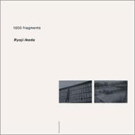 1000 Fragments