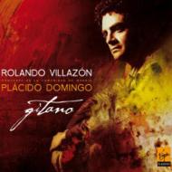 Tenor Collection/Gitano-zarzuela Arias： Villazon(T) Domingo / Comunidad De Madrid O通販セール状況　外国語　翻訳　通訳　通販