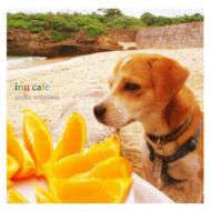 Inu Cafe
