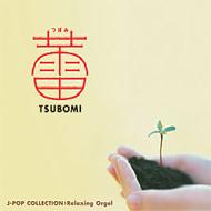 Tsubomi-J-Pop Collection-