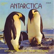 Sound Effects (効果音)/Antarctica： Portrait In Wildlife ＆ Natural Sound