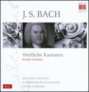 バッハ（1685-1750）/Secular Cantata： Schreier / Barlin Co Berliner Soliten Etc通販セール状況　外国語　翻訳　通訳　通販