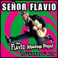 Senor Flavio/Supersaund 2012通販セール状況　外国語　翻訳　通訳　通販