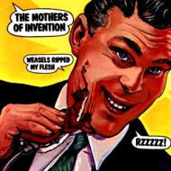 Weasels Ripped My Flesh ��������Ϻ(�楸�㥱�åȻ���)