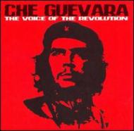 Voice Of The Revolution