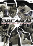 Sports/Dream.4： ミドル級グランプリ 2008 2nd Round