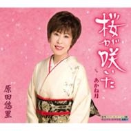  /桜が咲いた 