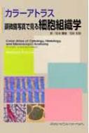 ウォルフガング・クーネル/カラ-アトラス顕微鏡写真で見る細胞組織学通販セール状況　外国語　翻訳　通訳　通販