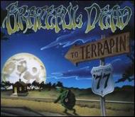 To Terrapin: May 28 1977 Hartford Ct