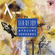 Sea Of Joy