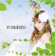 �匴�䂢/Evergreen
