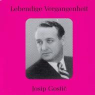 Tenor Collection/Josip Gostic Dusan Georgevic Opera Arias通販セール状況　外国語　翻訳　通訳　通販