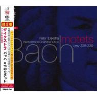  バッハ/Motets： Dijkstra / Netherlands Chamber Cho (Hyb)(Ltd) 