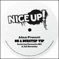 On A Dubstep Tip