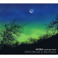  モーディア・カルム・デ・ヴィジョン/Garcon Led To The Forest 