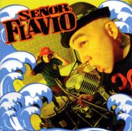 Senor Flavio/Nueva Ola通販セール状況　外国語　翻訳　通訳　通販