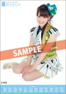 Mariya Suzuki / 2012 Poster Type Calendar