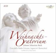 バッハ（1685-1750）/Weihnachts-oratorium： Fasolis / I Barocchisti Etc通販セール状況　外国語　翻訳　通訳　通販
