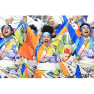2012�N ��21��yosakoi�\�[�����Ղ� ����dvd