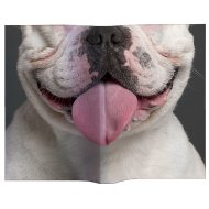 Animal Mask Book Cover (Bulldog)