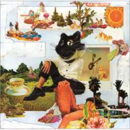 Suteki na Koto (+DVD)[First Press Limited Edition]
