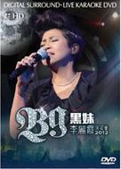 リー レイハー 李麗霞/ K妹李麗霞演唱會2012 Karaoke (+cd)通販セール状況　外国語　翻訳　通訳　通販