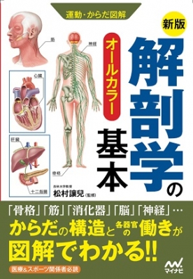 【単行本】 マイナビ出版 / 解剖学の基本 運動・からだ図解