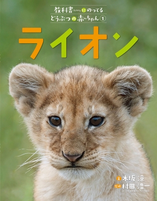 【全集・双書】 木坂涼 / ライオン 教科書にのってるどうぶつの赤ちゃん
