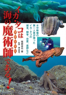在庫・特典情報を見る商品の詳細ジャンル: 実用・ホビーフォーマット: 単行本出版社: つり人社発売日: 2021年09月ISBN: 9784864473798発売国: 日本その他: １５９ｐ ２１ｃｍ
