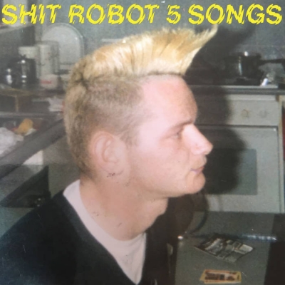 【LP】 Shit Robot / 5 Songs 送料無料
