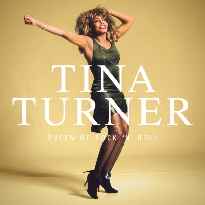 【LP】 Tina Turner ティナターナー / Queen Of Rock N Roll (5枚組 / 180グラム重量盤レコード) 送料無料