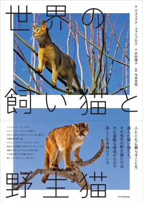 【単行本】 エクスナレッジ / 世界の飼い猫と野生猫 送料無料