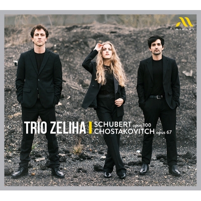 【CD輸入】 Schubert シューベルト / シューベルト：ピアノ三重奏曲第2番、ショスタコーヴィチ：ピアノ三重奏曲第2番 トリオ