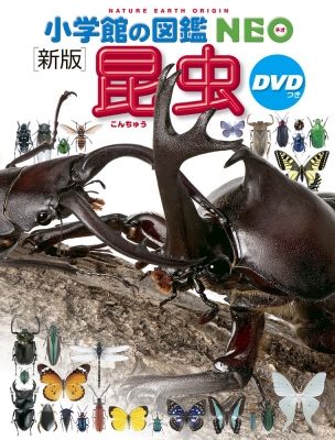 【図鑑】 小池啓一 / 新版 昆虫 DVDつき 小学館の図鑑 NEO
