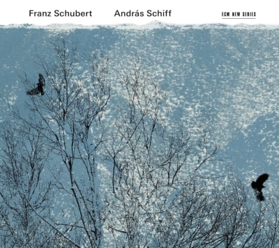 【CD輸入】 Schubert シューベルト / ピアノ・ソナタ第２１番、第１８番『幻想』、即興曲集、楽興の時、他 アンドラーシュ・