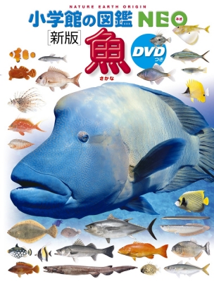 【図鑑】 井田齋 / 新版 魚 DVDつき 小学館の図鑑NEO