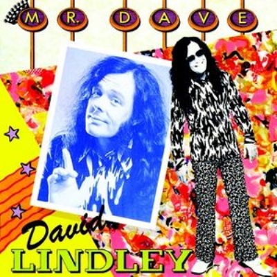 【CD輸入】 David Lindley / Mr. Dave