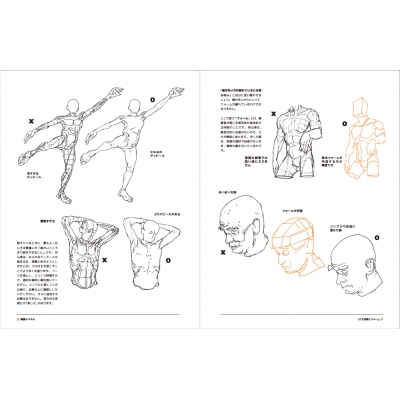 Anatomy For Artists Drawing Form Pose